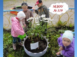 МДОУ   №   119 