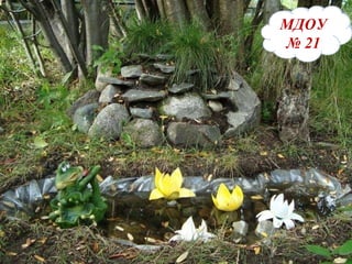 МДОУ №21 МДОУ №21 МДОУ   №   21 
