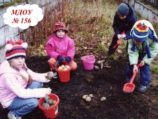 ДОУ 156 МДОУ   №   156 