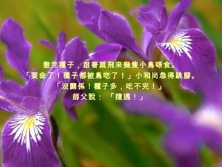 撒完種子，跟著就飛來幾隻小鳥啄食。 「 要命了！種子都被鳥吃了！ 」 小和尚急得跳腳。 「 沒關係！種子多，吃不完！ 」   師父說：  「 隨遇！ 」   