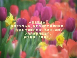 一個星期過去。 原本光禿的地面，居然長出許多青翠的草苗。 一些原來沒播種的角落，也泛出了綠意。 小和尚高興得直拍手。 師父點頭：「隨喜！」  