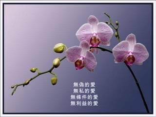 無偽的愛 無私的愛 無條件的愛 無利益的愛 