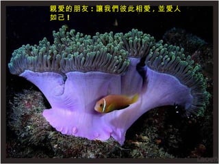 親愛的朋友 : 讓 我們彼此相愛 , 並愛人如己 ! 