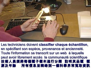 Les techniciens doivent  classifier chaque échantillon , en spécifiant son espèce, provenance et ancienneté. Toute l'information se transcrit sur un web  à laquelle peut avoir librement accès  la communauté scientifique   技術人員須 將 每個 種子 樣本進行分類   註明 其 品 種   種源 及 年齡   所有信息 並 轉錄到一個 科學界常蒐取資訊的 網站 