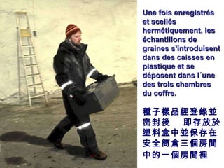 . Une fois enregistrés et scellés hermétiquement, les échantillons de graines s'introduisent dans des caisses en plastique et se déposent dans l´une des trois chambres du coffre. 種子樣品經登錄並密封後  即存放於 塑料盒 中並保 存在 安全筒倉三個房間中的 一個房間 裡   