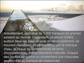 Actuellement, déjà plus de 1.000 banques de graines existent au monde. Cependant, plusieurs d'elles, surtout dans les pays en voie de développement, se trouvent menacées en permanence par le manque d'eau, le risque de tremblements de terre, d'inondations ou autres désastres naturels, l'impact des conflits de guerre ou simplement une mauvaise gestion due au manque de ressources. 