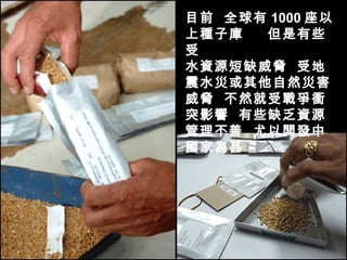 目前  全球有 1000 座以上種子庫  但是有些受 水資源短缺威脅  受地震水災或其他自然災害威脅  不然就受戰爭衝突影響  有些缺乏資源  管理不善  尤以開發中國家為甚   