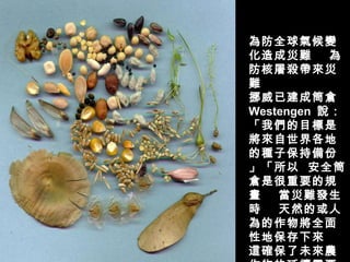 為 防全球氣候變化造成災難  為防核屠殺帶來災難  挪威 已建成 筒倉 Westengen  說：「 我們的目標是 將 來自世界各地的種子 保持備份」「 所以   安全筒倉是很重要的規畫  當 災難 發生時  天 然 的 或人為 的 作物 將全面 性 地 保存 下來  這 確保 了 未來農作物 的延續 需要 靠 我們 」   