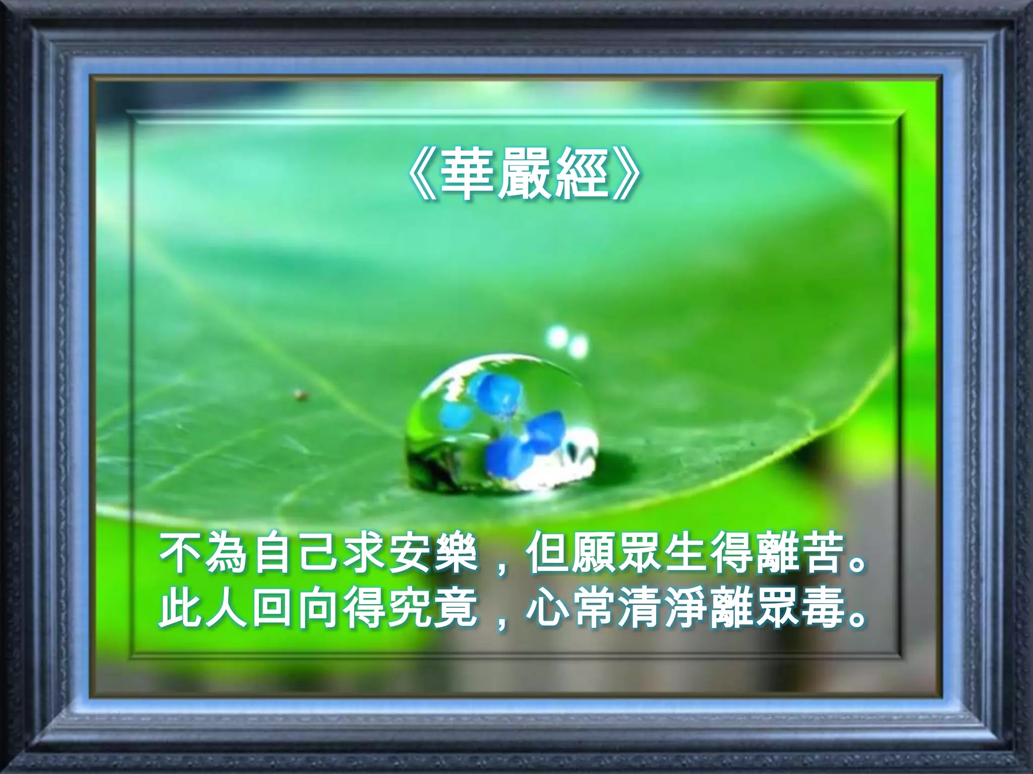 《華嚴經》不為自己求安樂，但願眾生得離苦。此人回向得究竟，心常清淨離眾毒。