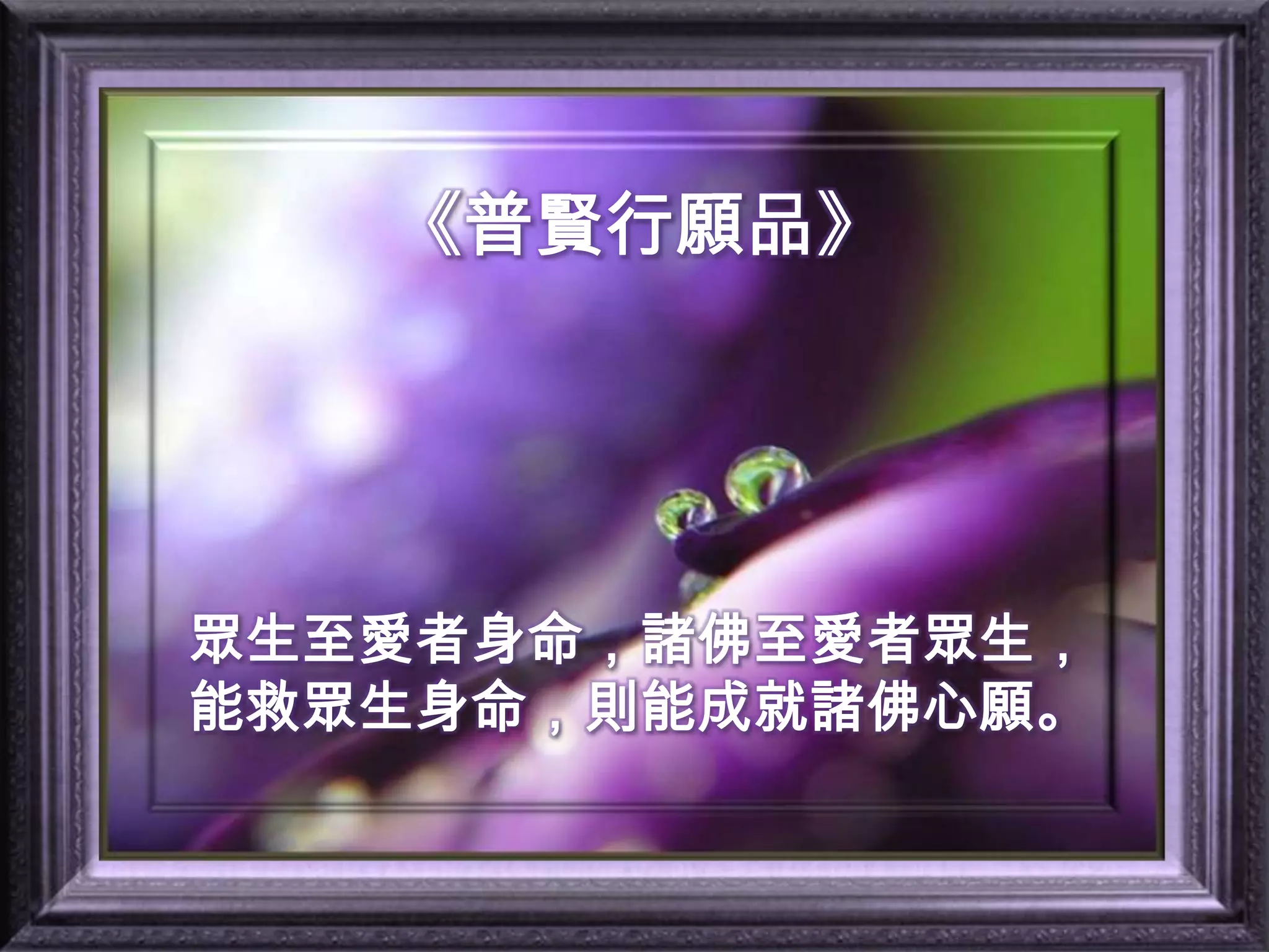 《普賢行願品》眾生至愛者身命，諸佛至愛者眾生，能救眾生身命，則能成就諸佛心願。