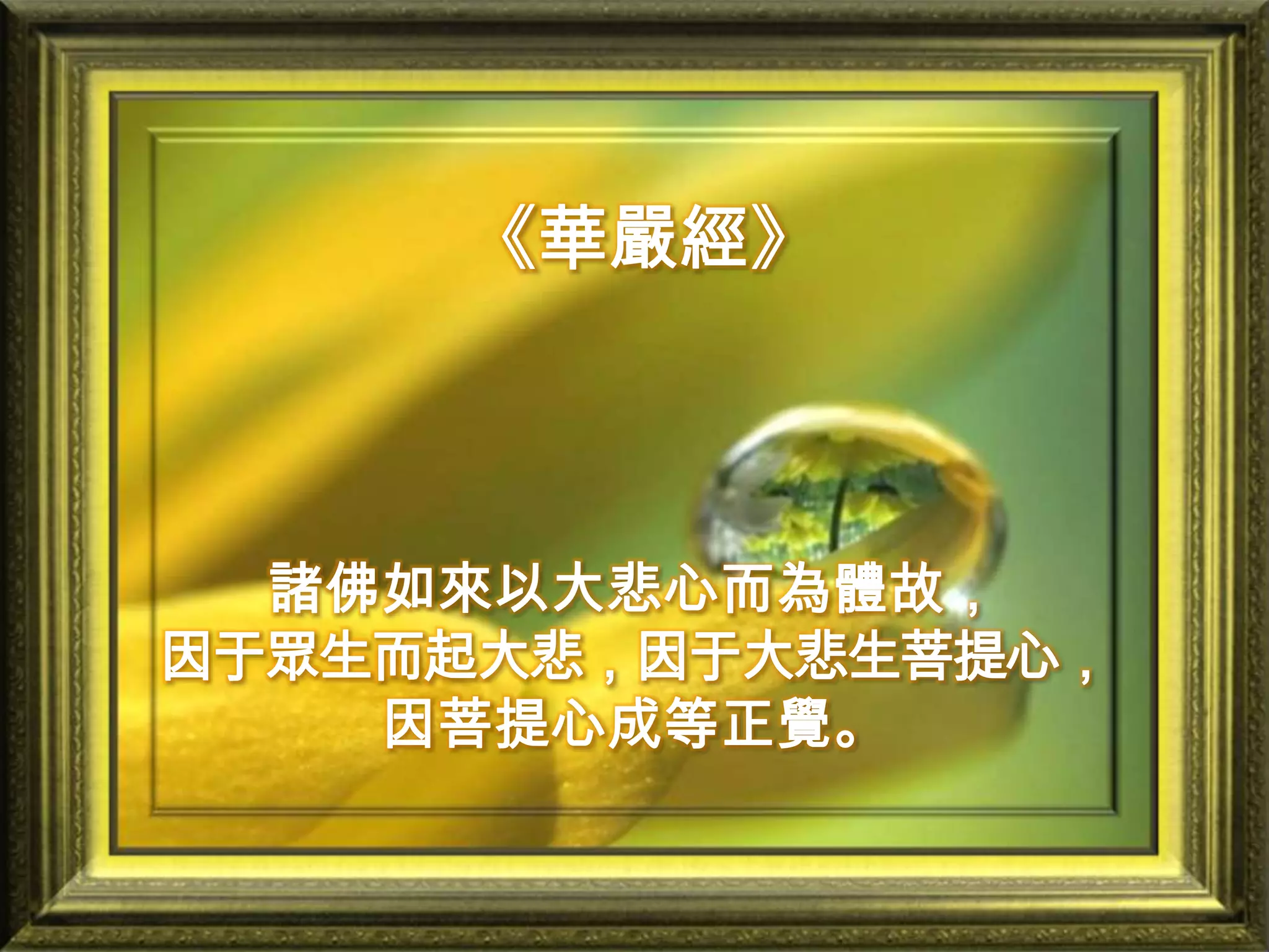  《華嚴經》諸佛如來以大悲心而為體故， 因于眾生而起大悲，因于大悲生菩提心，   因菩提心成等正覺。   