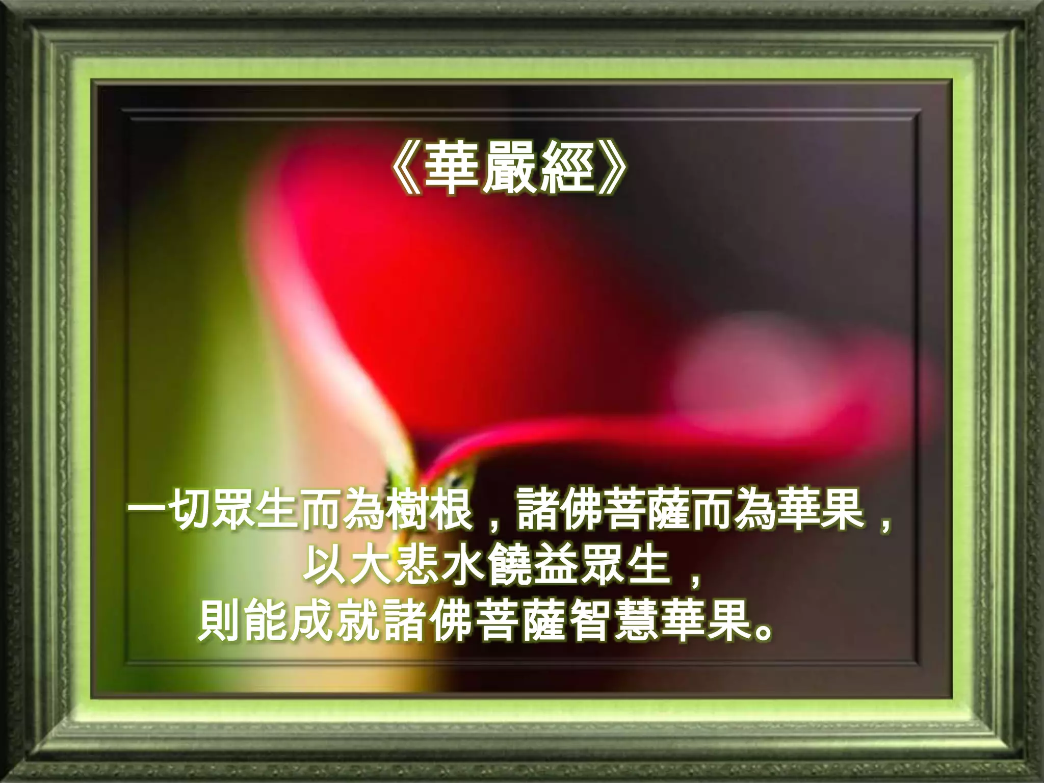 《華嚴經》 一切眾生而為樹根，諸佛菩薩而為華果， 以大悲水饒益眾生， 則能成就諸佛菩薩智慧華果。       