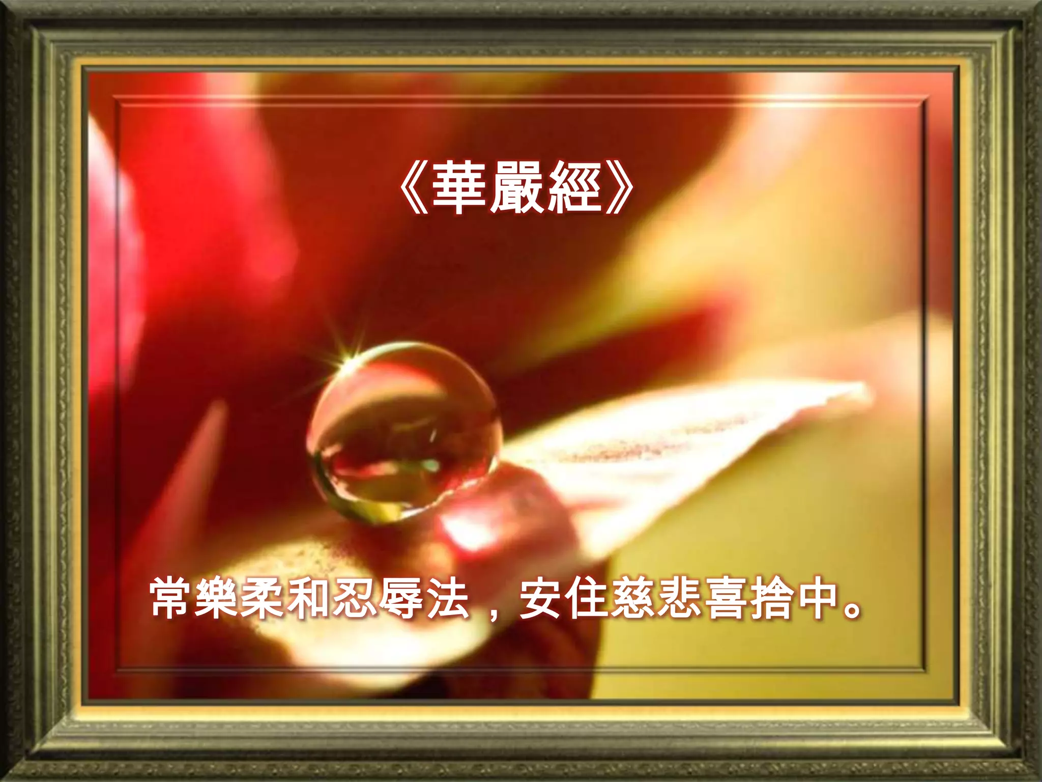 《華嚴經》常樂柔和忍辱法，安住慈悲喜捨中。　　　　　　　　　　　　　　