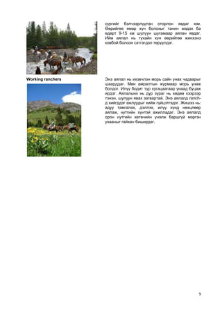 Морин аяллын бизнес төлөвлөгөө