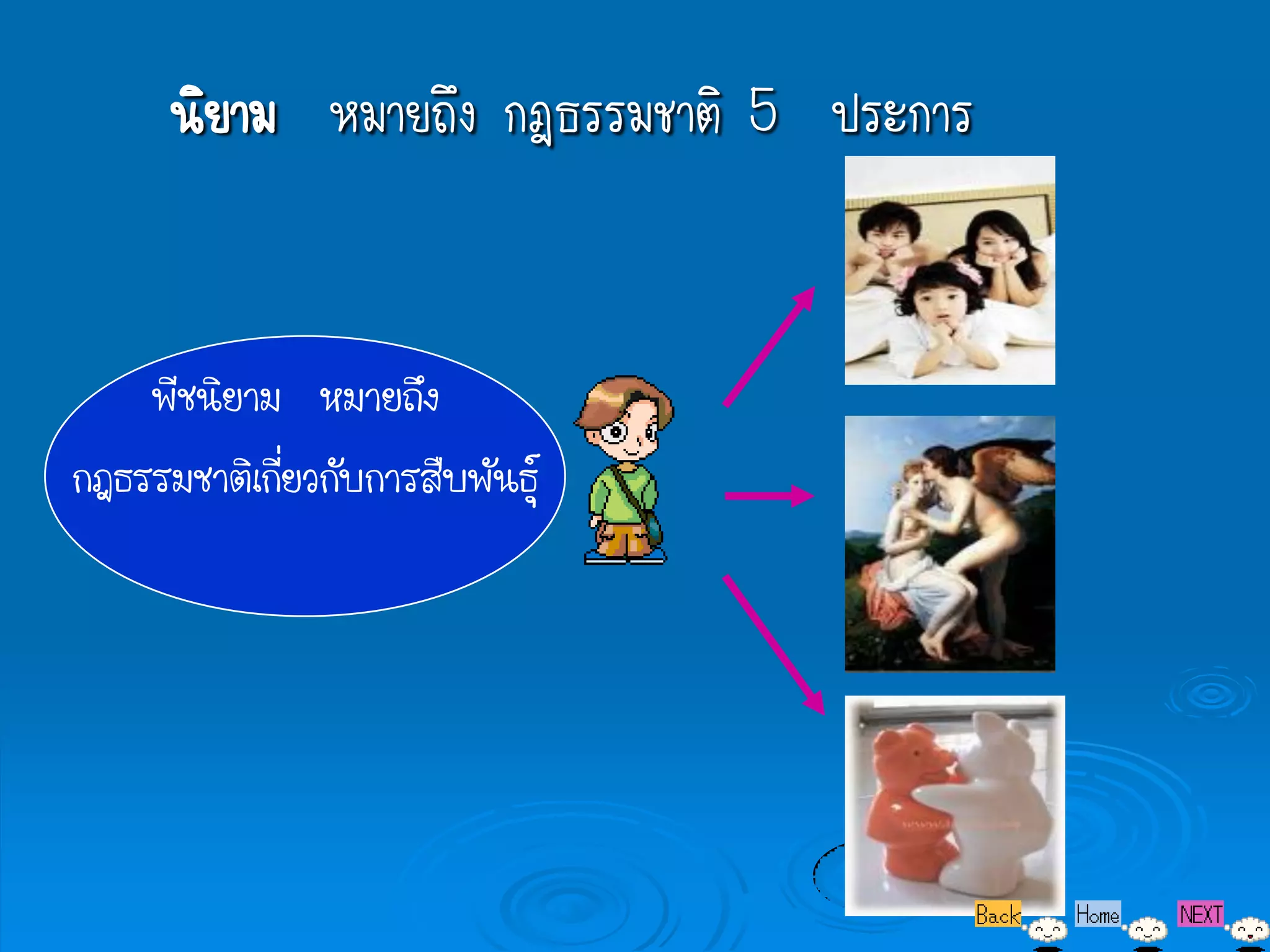 นิยาม หมายถึง กฎธรรมชาติ 5 ประการ


    พีชนิยาม หมายถึง
กฎธรรมชาติเกียวกับการสืบพันธุ์
             ่
 