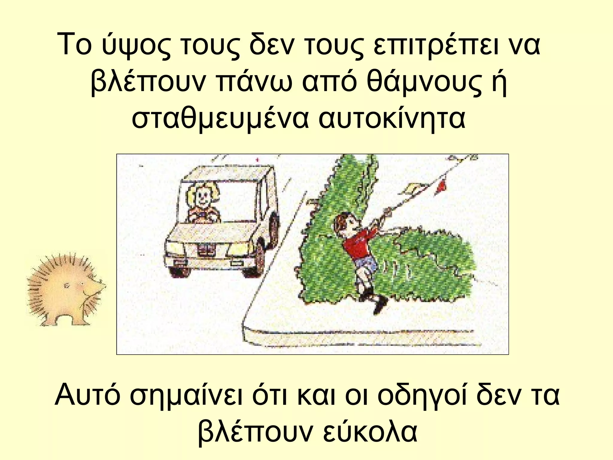 Το ύψος τους δεν τους επιτρέπει να βλέπουν πάνω από θάμνους ή σταθμευμένα αυτοκίνητα Αυτό σημαίνει ότι και οι οδηγοί δεν τα βλέπουν εύκολα 