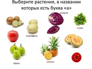 Выберите растения, в названии которых есть буква «а»капустасалаткартофельананасгруша
