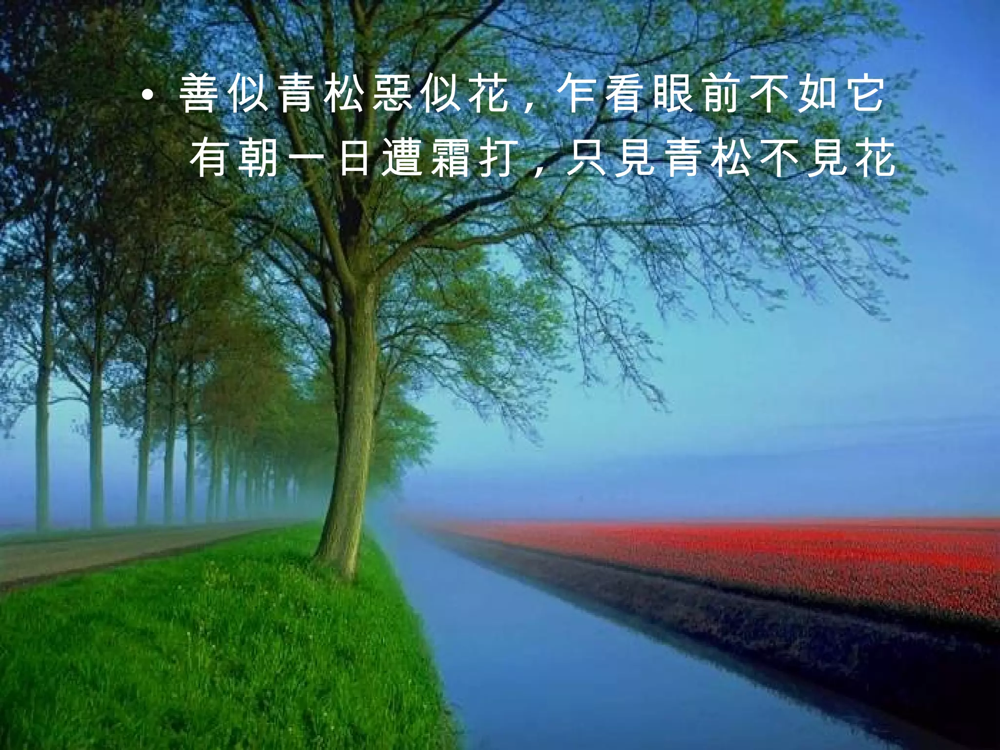 善似青松惡似花 , 乍看眼前不如它 有朝一日遭霜打 , 只見青松不見花 