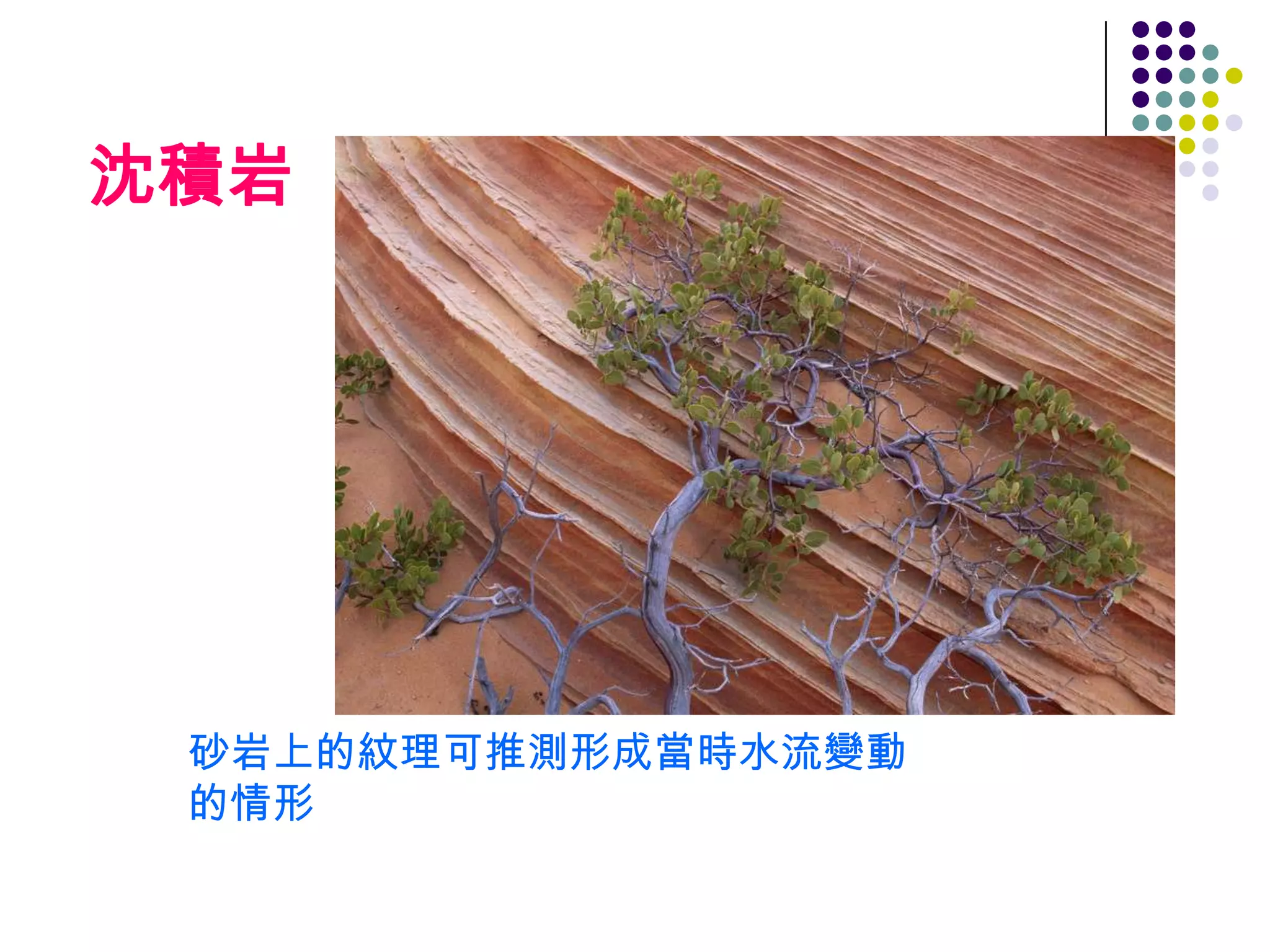 沈積岩




 砂岩上的紋理可推測形成當時水流變動
 的情形
 