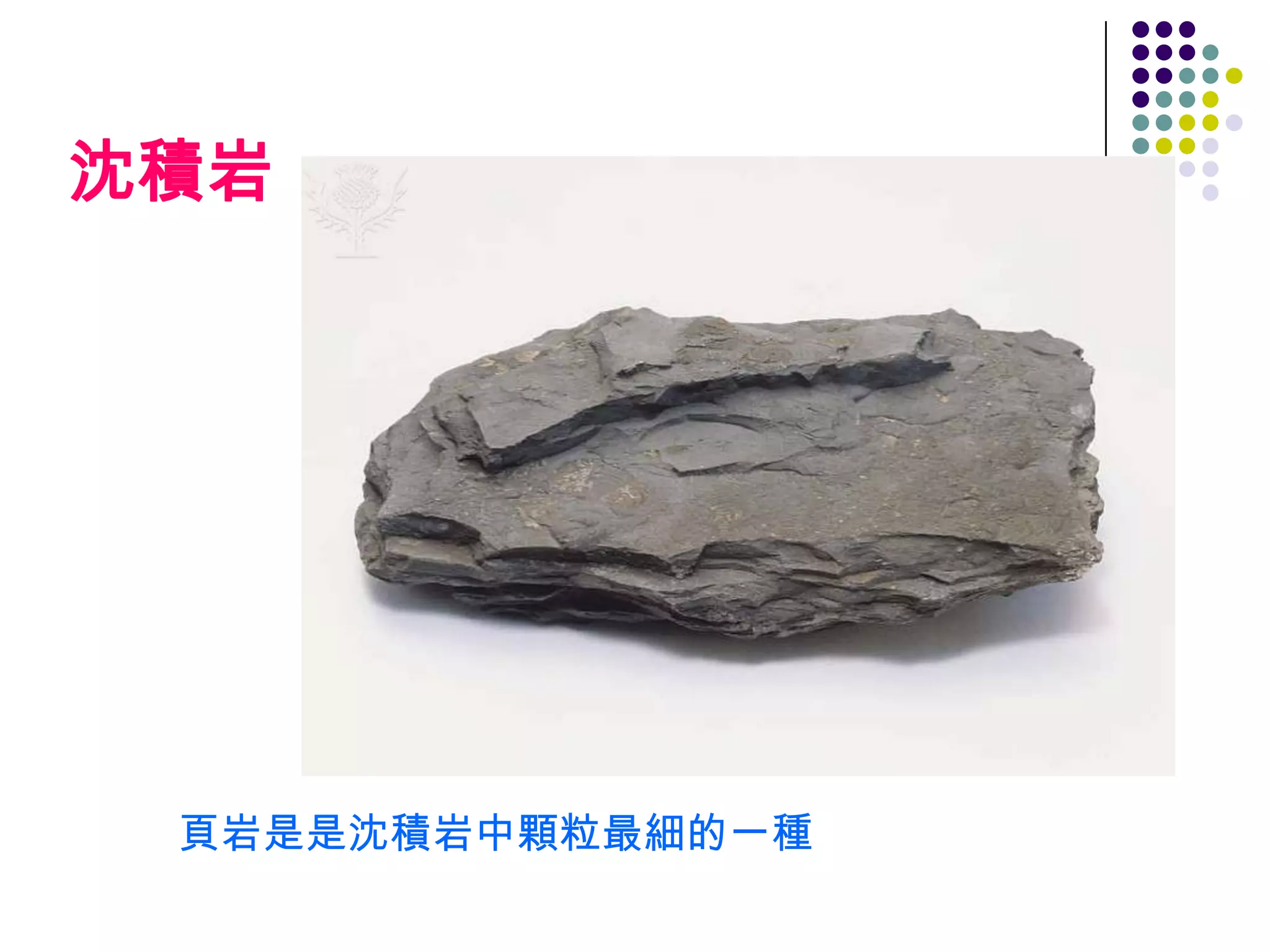 沈積岩




 頁岩是是沈積岩中顆粒最細的一種
 