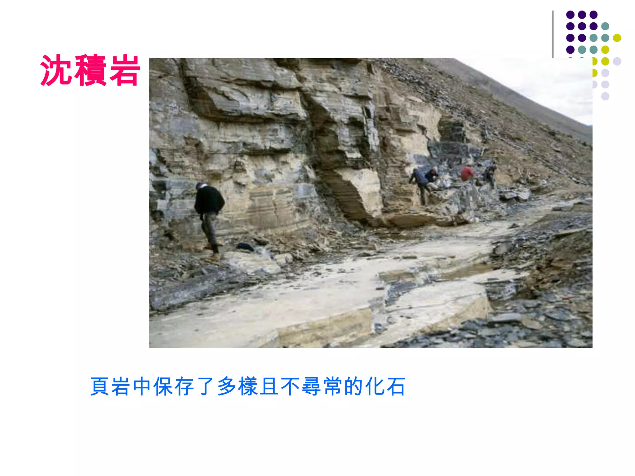 沈積岩




 頁岩中保存了多樣且不尋常的化石
 