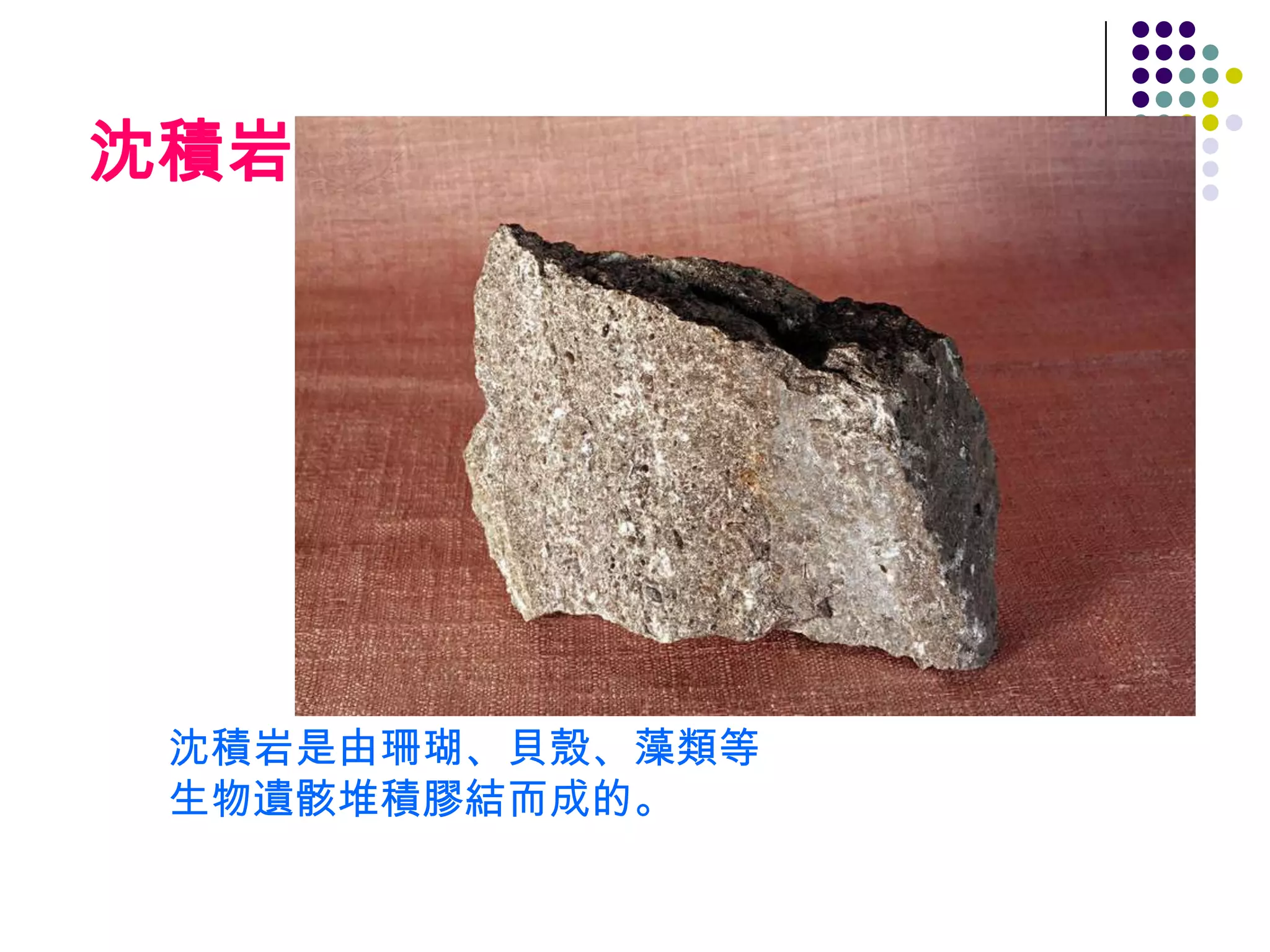 沈積岩




 沈積岩是由珊瑚、貝殼、藻類等
 生物遺骸堆積膠結而成的。
 