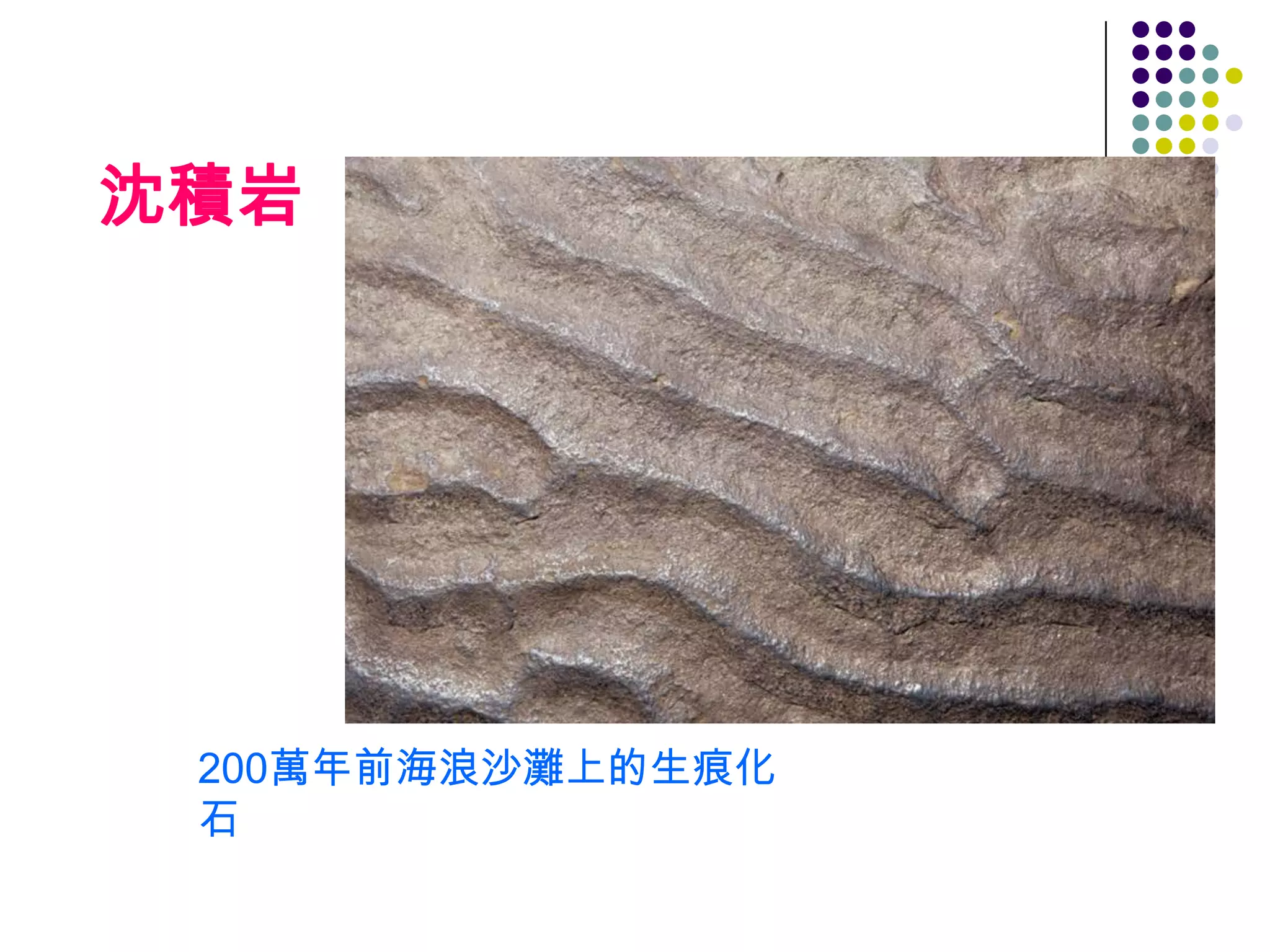 沈積岩




 200萬年前海浪沙灘上的生痕化
 石
 