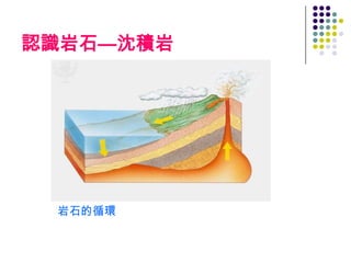 認識岩石—沈積岩




 岩石的循環
 