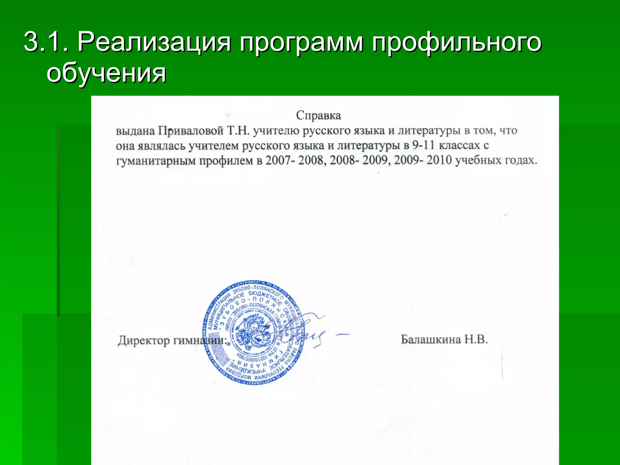 3.1. Реализация программ профильного обучения 