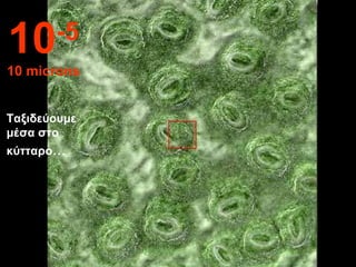 Ταξιδεύουμε μέσα στο κύτταρο ... 10 -5 10 microns 