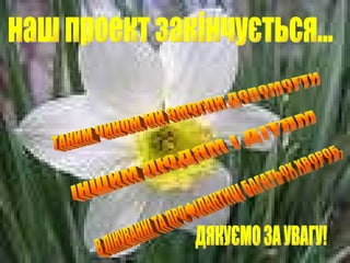 наш проект закінчується... ТАКИМ ЧИНОМ МИ ЗМОГЛИ ДОПОМОГТИ  ІНШИМ ЛЮДЯМ І ДІТЯМ В ЛІКУВАННІ ТА ПРОФІЛАКТИЦІ БАГАТЬОХ ХВОРОБ. ДЯКУЄМО ЗА УВАГУ! 