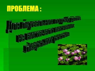 ПРОБЛЕМА : Для лікувальних потреб дітей не вистачало весняних лікарських рослин 