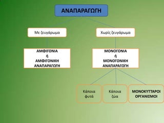 ΑΝΑΠΑΡΑΓΩΓΗ


Με ηευγάρωμα                 Χωρίσ ηευγάρωμα



 ΑΜΦΙΓΟΝΙΑ                    ΜΟΝΟΓΟΝΙΑ
     ή                            ή
ΑΜΦΙΓΟΝΙΚΗ                   ΜΟΝΟΓΟΝΙΚΗ
ΑΝΑΠΑΡΑΓΩΓΗ                  ΑΝΑΠΑΡΑΓΩΓΗ




                    Κάποια       Κάποια        ΜΟΝΟΚΤΣΣΑΡΟΙ
                     φυτά         ηώα           ΟΡΓΑΝΙ΢ΜΟΙ
 