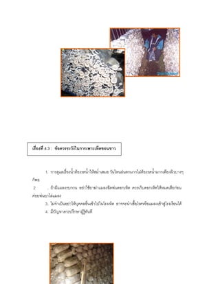 เรื่องที่ 4.3 : ข้อควรระวังในการเพาะเห็ดขอนขาว



       1. การดูแลเรื่องน้าต้องรดน้าให้สม่าเสมอ วันไหนฝนตกมากไม่ต้องรดน้ามากเพียงผิวบางๆ
ก็พอ
2       . ถ้ามีแมลงรบกวน อย่าใช้ยาฆ่าแมลงฉีดพ่นดอกเห็ด ควรเก็บดอกเห็ดให้หมดเสียก่อน
ค่อยพ่นยาไล่แมลง
       3. ไม่จาเป็นอย่าให้บุคคลอื่นเข้าไปในโรงเห็ด อาจจะนาเชื้อโรคหรือแมลงเข้าสู่โรงเรือนได้
       4. มีปัญหาควรปรึกษาผู้รู้ทันที
 