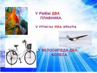 У ВЕЛОСИПЕДА   ДВА   КОЛЕСА. У РЫБЫ   ДВА  ПЛАВНИКА. У ПТИЦЫ   ДВА   КРЫЛА. 