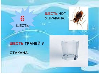 ШЕСТЬ  НОГ У ТРАКАНА. ШЕСТЬ  ГРАНЕЙ У  СТАКАНА. 6 ШЕСТЬ 