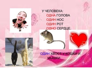 У ЧЕЛОВЕКА: ОДНА  ГОЛОВА   ОДИН  НОС   ОДИН  РОТ ОДНО  СЕРДЦЕ. ОДИН  ХВОСТ У КОШКИ И  МЫШКИ. 