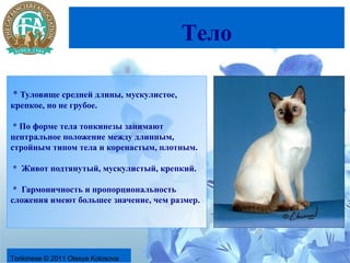 Тело

* Туловище средней длины, мускулистое,
крепкое, но не грубое.

 * По форме тела тонкинезы занимают
центральное положение между длинным,
стройным типом тела и коренастым, плотным.

* Живот подтянутый, мускулистый, крепкий.

 * Гармоничность и пропорциональность
сложения имеют большее значение, чем размер.




Tonkinese © 2011 Olesya Kolosova
 