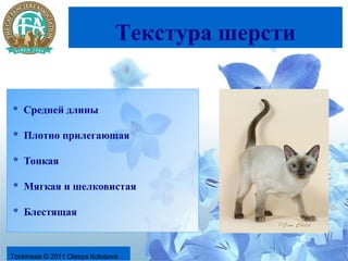 Текстура шерсти


* Средней длины

* Плотно прилегающая

* Тонкая

* Мягкая и шелковистая

* Блестящая



Tonkinese © 2011 Olesya Kolosova
 