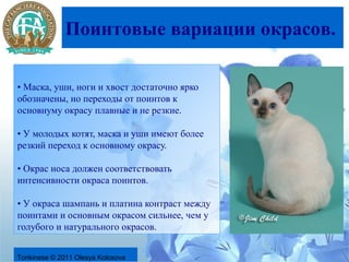 Поинтовые вариации окрасов.

• Маска, уши, ноги и хвост достаточно ярко
обозначены, но переходы от поинтов к
основнуму окрасу плавные и не резкие.

• У молодых котят, маска и уши имеют более
резкий переход к основному окрасу.

• Окрас носа должен соответствовать
интенсивности окраса поинтов.

• У окраса шампань и платина контраст между
поинтами и основным окрасом сильнее, чем у
голубого и натурального окрасов.


Tonkinese © 2011 Olesya Kolosova
 