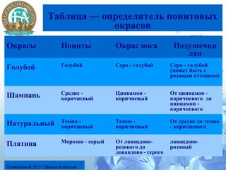 Таблица — определитель поинтовых
                              окрасов
Окрасы                  Поинты            Окрас носа            Подушечки
                                                                   лап
Голубой                 Голубой           Серо - голубой       Серо - голубой
                                                               (может быть с
                                                               розовым оттенком)


Шампань                 Средне -          Циннамон -           От циннамон -
                        коричневый        коричневый           коричневого до
                                                               циннамон -
                                                               коричневого

Натуральный             Темно -           Темно -              От средне до темно
                        коричневый        коричневый           - коричневого


Платина                 Морозно - серый   От лавандово-        лавандово-
                                          розового до          розовый
                                          ловандово - серого

Tonkinese © 2011 Olesya Kolosova
 
