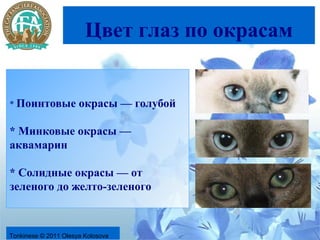 Цвет глаз по окрасам


* Поинтовые           окрасы — голубой

* Минковые окрасы —
аквамарин

* Солидные окрасы — от
зеленого до желто-зеленого



Tonkinese © 2011 Olesya Kolosova
 