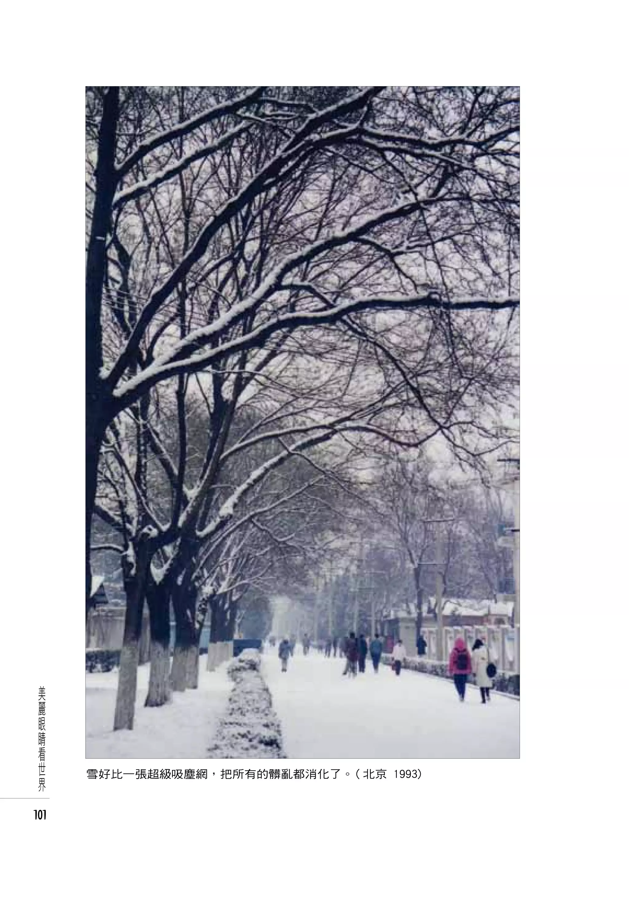 美
 麗
 眼
 睛
 看
 世
 界    雪好比一張超級吸塵網，把所有的髒亂都消化了。( 北京 1993)


101
 
