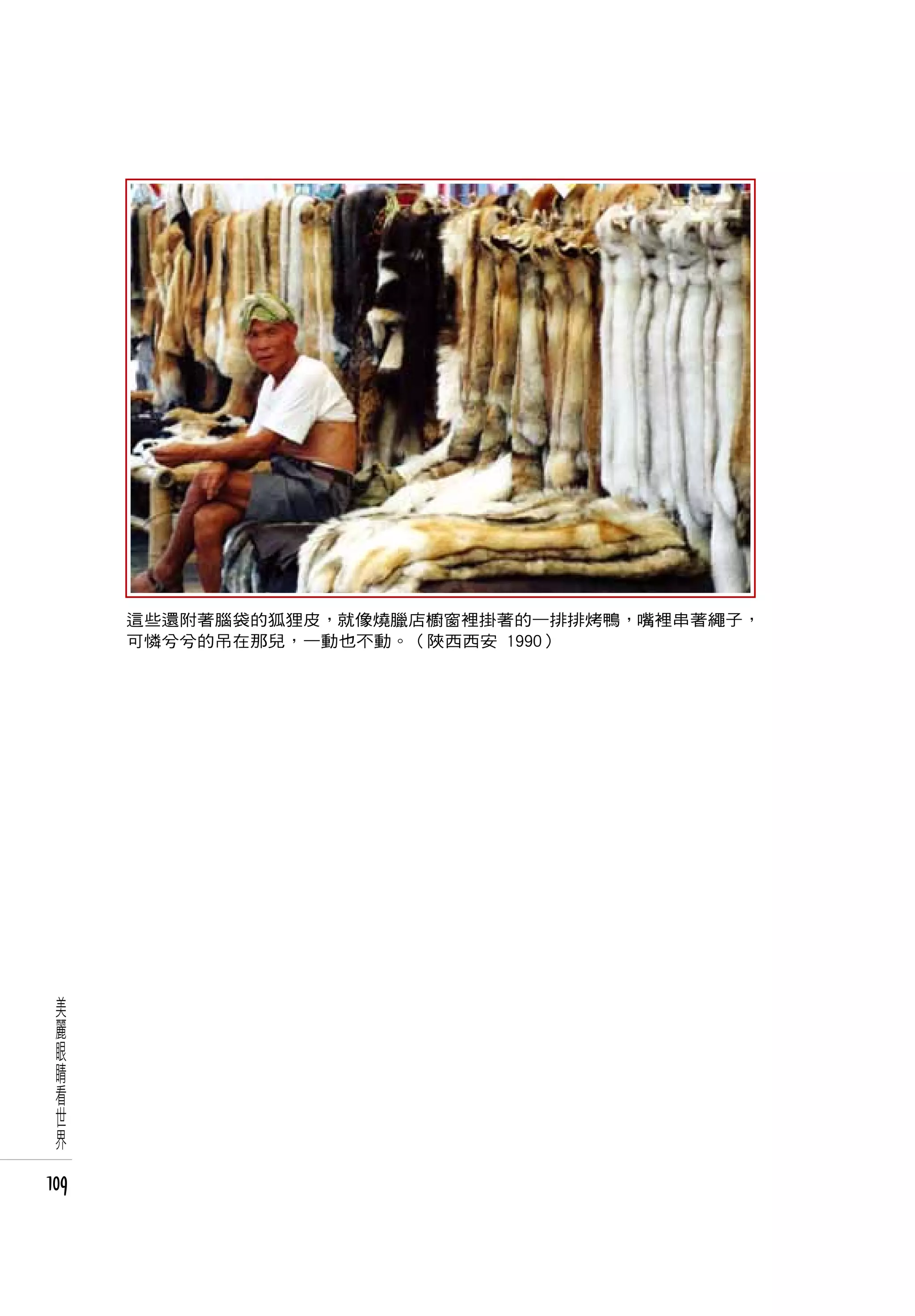 這些還附著腦袋的狐狸皮，就像燒臘店櫥窗裡掛著的一排排烤鴨，嘴裡串著繩子，
      可憐兮兮的吊在那兒，一動也不動。（陜西西安 1990）




  美
  麗
  眼
  睛
  看
  世
  界

109
 