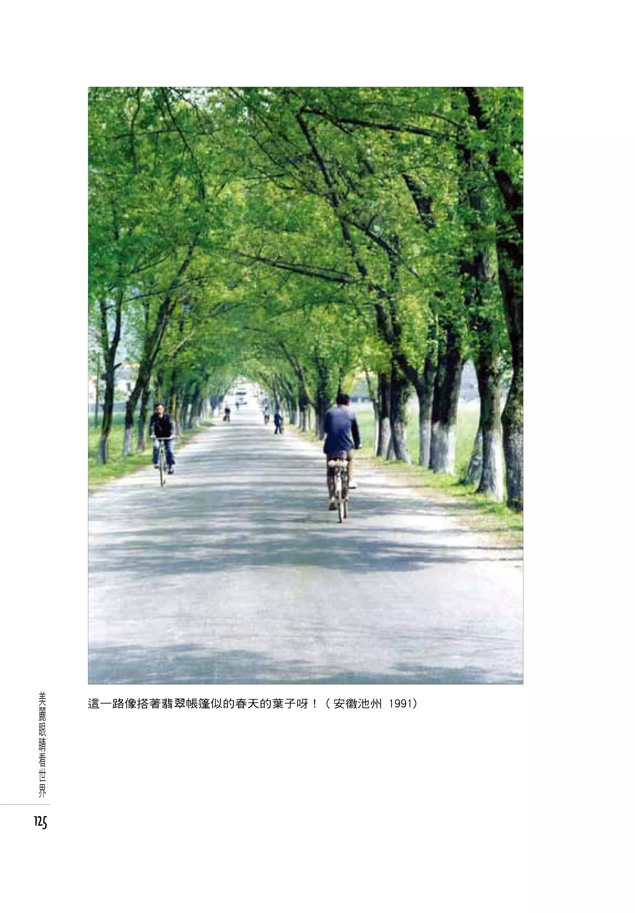 美
 麗    這一路像搭著翡翠帳篷似的春天的葉子呀！ ( 安徽池州 1991)
 眼
 睛
 看
 世
 界

125
 