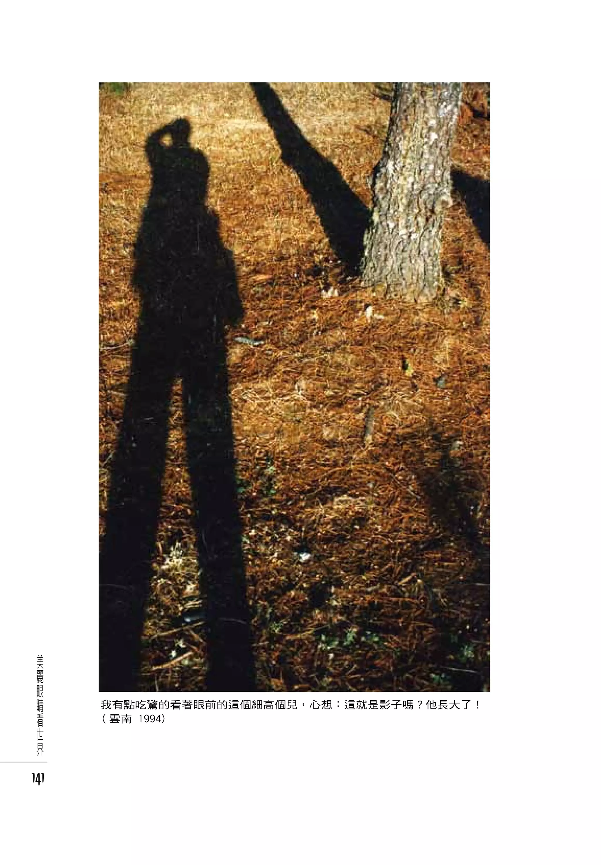 美
 麗
 眼
 睛
 看    我有點吃驚的看著眼前的這個細高個兒，心想：這就是影子嗎？他長大了！
      ( 雲南 1994)
 世
 界

141
 