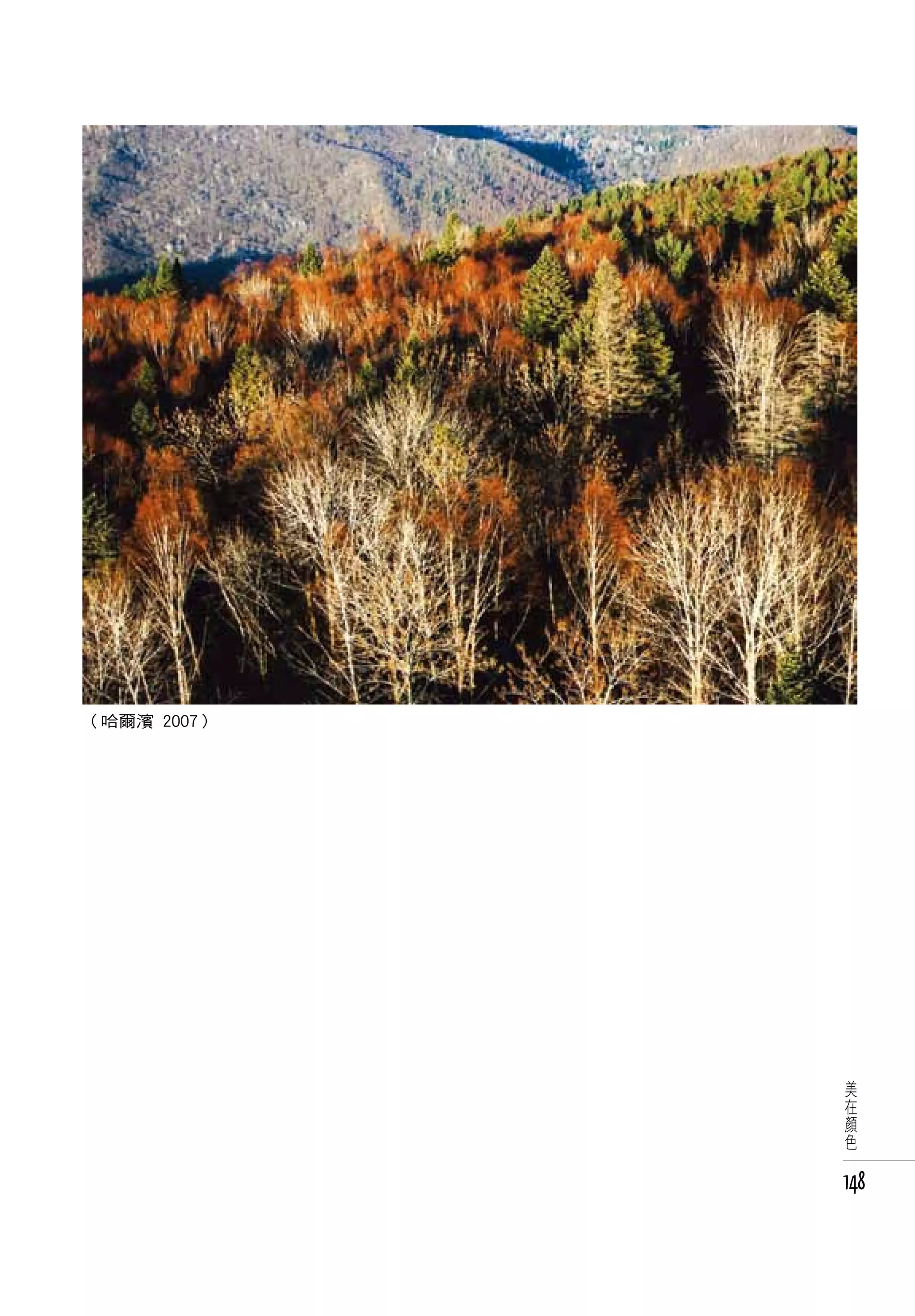 （哈爾濱 2007）




              美
              在
              顏
              色


             148
 