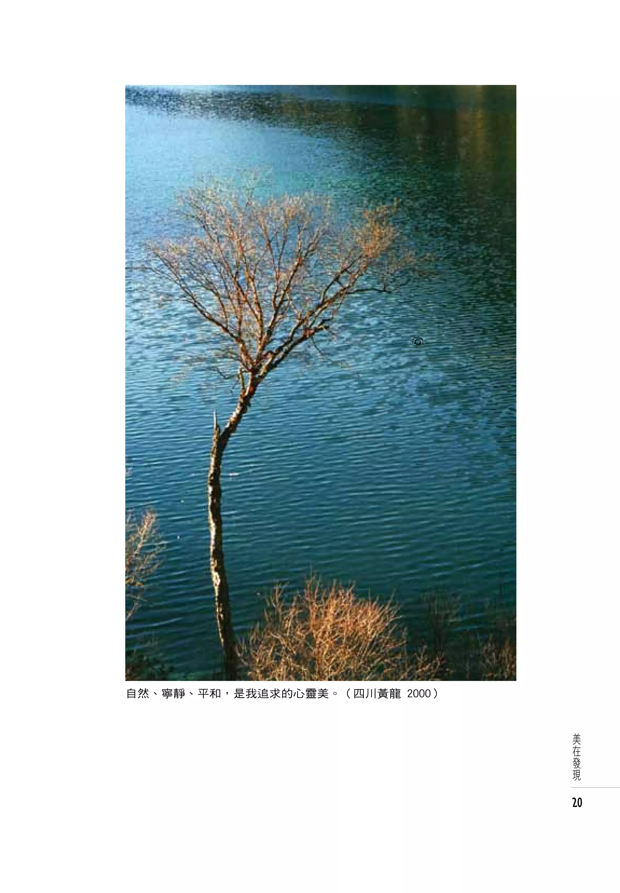 自然、寧靜、平和，是我追求的心靈美。（四川黃龍 2000）


                                美
                                在
                                發
                                現


                                20
 