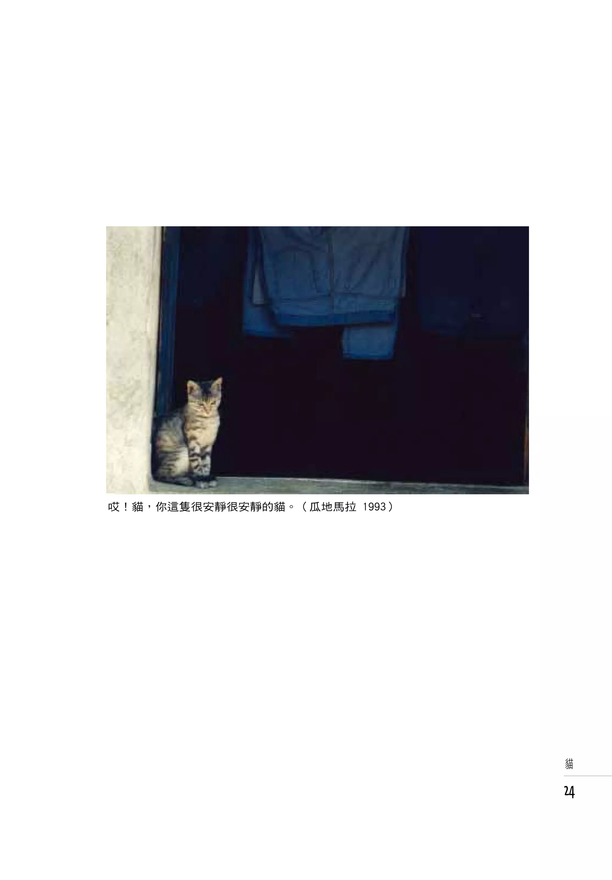 哎！貓，你這隻很安靜很安靜的貓。（瓜地馬拉 1993）




                              貓


                              24
 