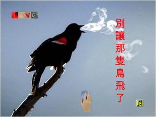 別讓那隻鳥飛了 